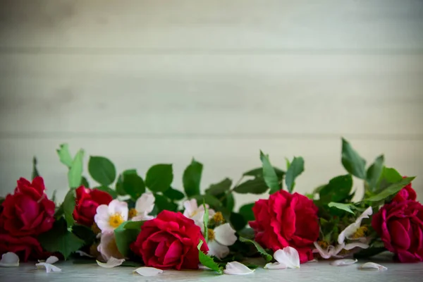 Gyönyörű Háttér Sok Vörös Rózsa Egy Könnyű — Stock Fotó