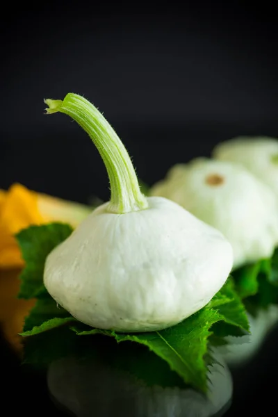 Fresh Organic Squash Flowers Foliage Isolated Black Background — Stok fotoğraf