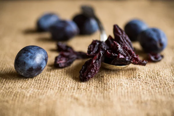 Dried prunes in a spoon on a burlap tablecloth against a background of fresh plums. Prunes and plums on a kitchen table close-up.