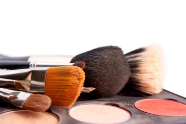 gölgeler paleti ile profesyonel fırçalar ayarla