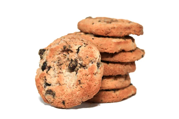 Chocoladekoekjes — Stockfoto