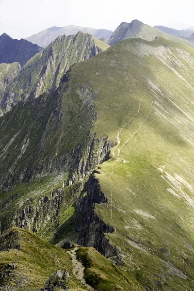 Montagne Carpazie, Romania — Foto Stock