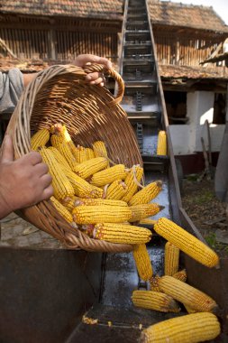 mısır koçanı ile sepeti için Asansör