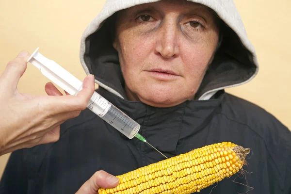 GMO corn — Stock Photo, Image