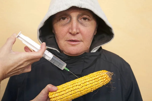 GMO corn — Stock Photo, Image