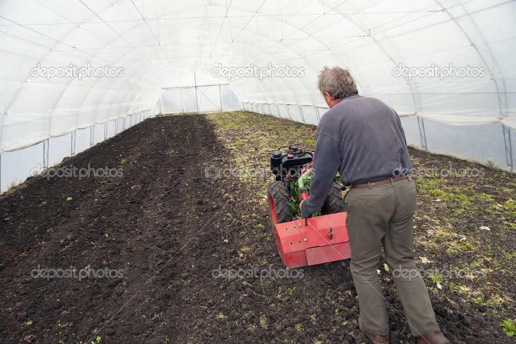 Greenhouse for vegetables - land preparation