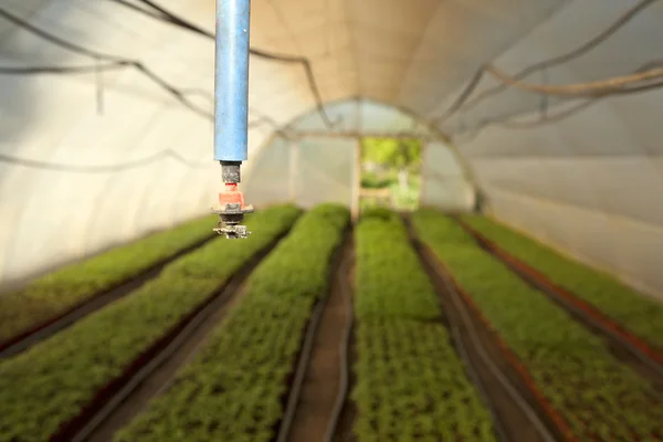 Greenhouse for vegetables - irrigation — Stock Photo, Image