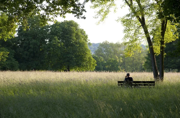 Relaxed connected — Stock Photo, Image