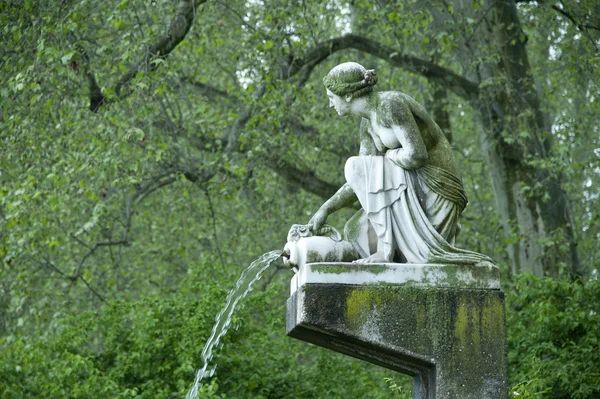 Water nymph — Stock Photo, Image
