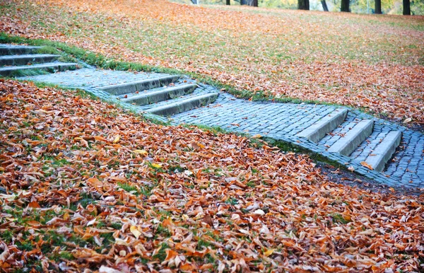 Blå steg — Stockfoto