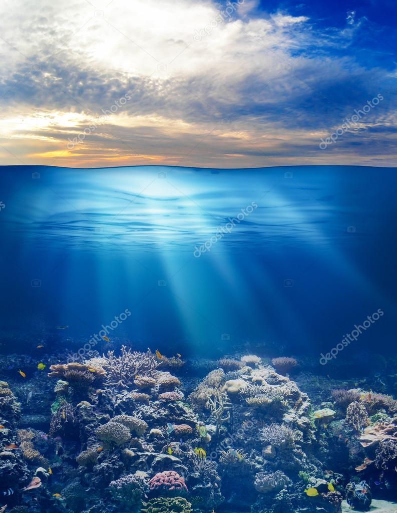 Meer oder Ozean Unterwasserwelt mit Sonnenuntergang Himmel — Stockfoto