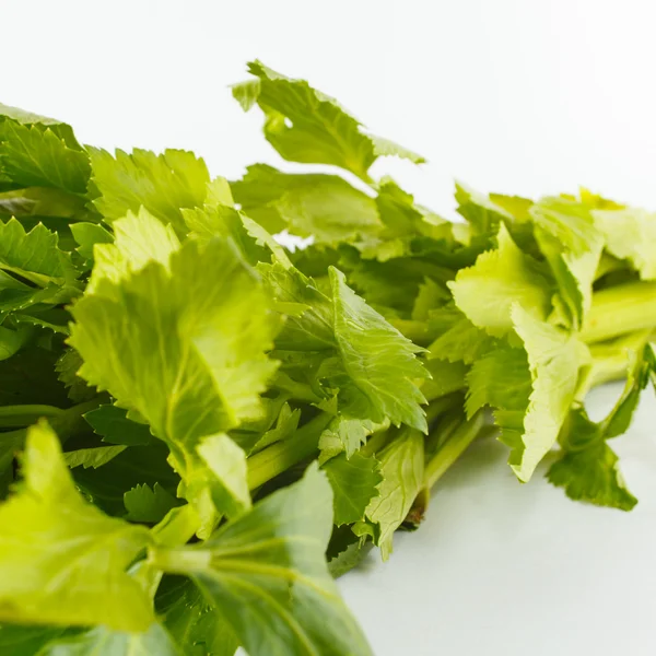 Celery — Stock Photo, Image