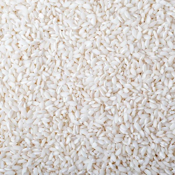 Rýže Stock Fotografie