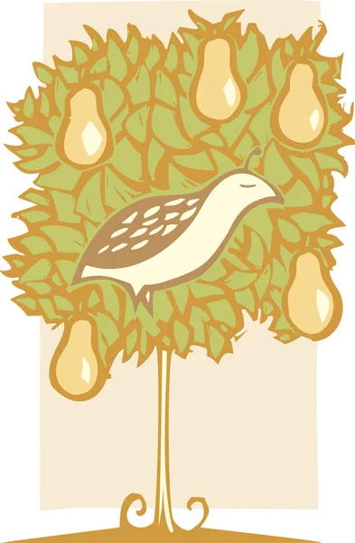 Partridge och päron träd — Stock vektor