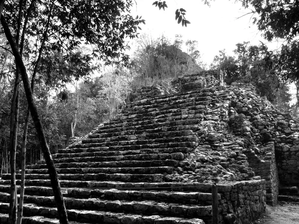 Coba Maya-ruiner — Stockfoto