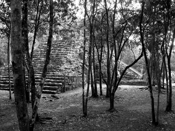 Tulum Maya harabelerini — Stok fotoğraf