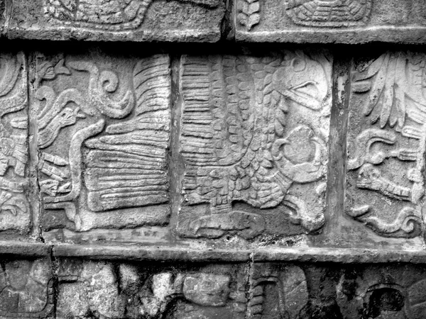 Mayan glyph of Eagle at Chichen Itza — Stock Photo, Image