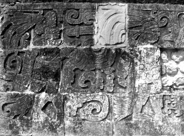 Chichen itza mayan glyphen — Stockfoto