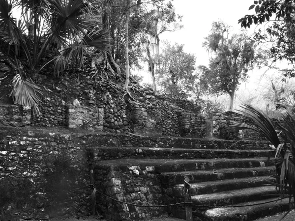 科巴玛雅遗迹 — 图库照片