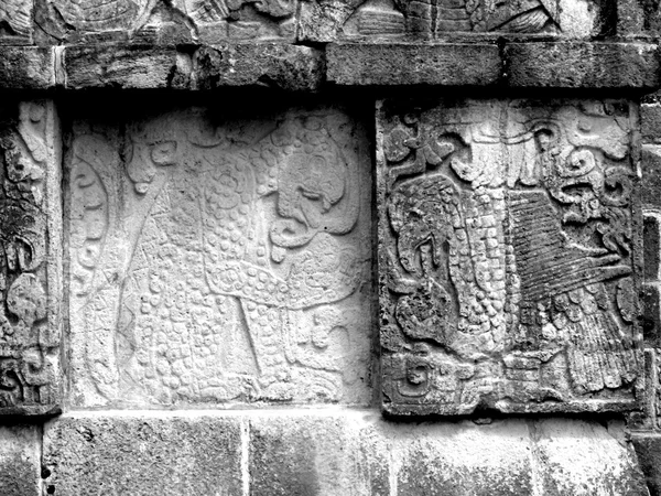 Chichen Itza Maya glifleri jaguar — Stok fotoğraf