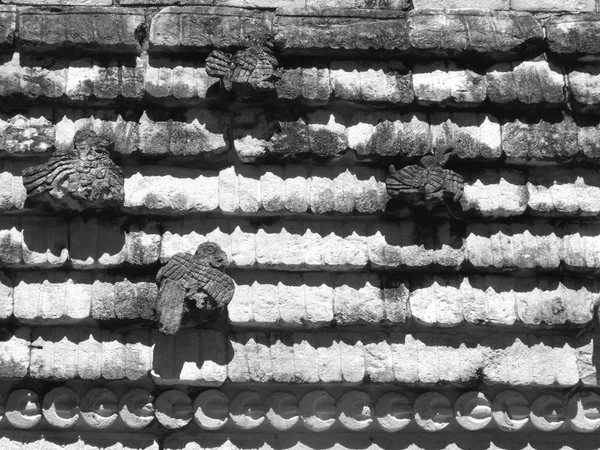 Macaws uxmal Maya harabelerini — Stok fotoğraf