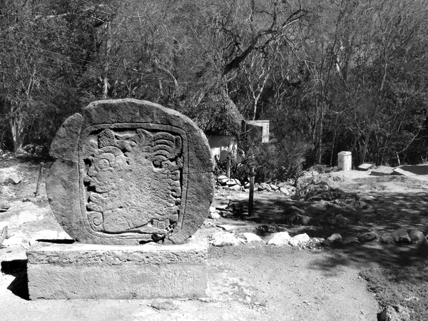 Mayan Stele Edzna — Stock Photo, Image