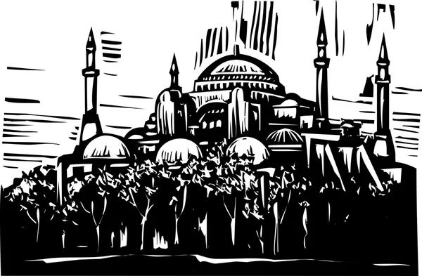 Hagia Sophia — Stockvektor