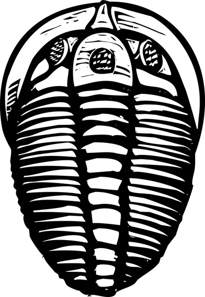 Trilobita — Vetor de Stock