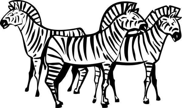 Три зебры — стоковый вектор