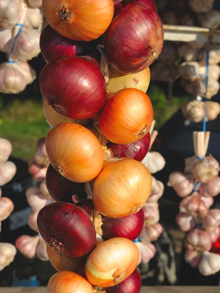 Cibule a česnek — Stock fotografie