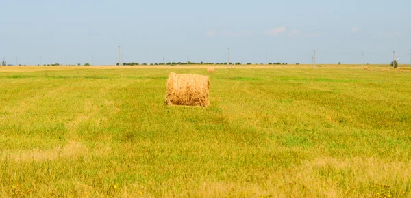 Пшеничне поле і блакитне небо з деякими хмарами — стокове фото