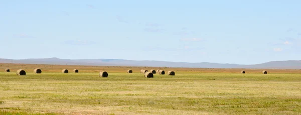 Paysage rural d'automne - meules de foin dans un champ — Photo