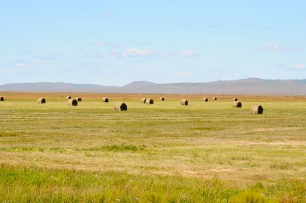 Paysage rural d'automne - meules de foin dans un champ — Photo