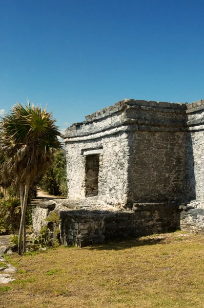 Pirâmide mayan antiga — Fotografia de Stock