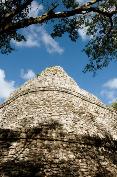 Майя піраміди — стокове фото