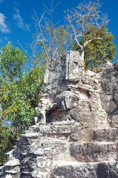Antigua pirámide maya — Foto de Stock