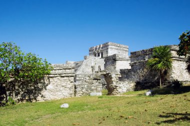 Mayan pyramids