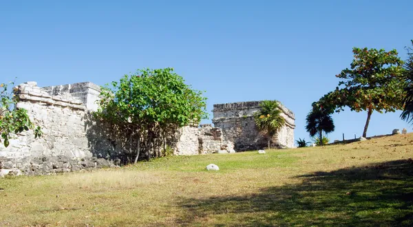 Mayan pyramids — Stockfoto