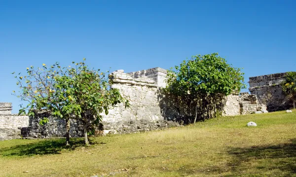 Mayan pyramids — Stockfoto