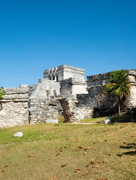 Mayan pyramids — Stok fotoğraf