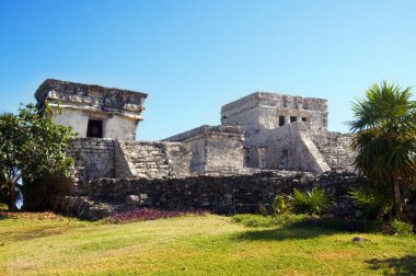 Mayan pyramids