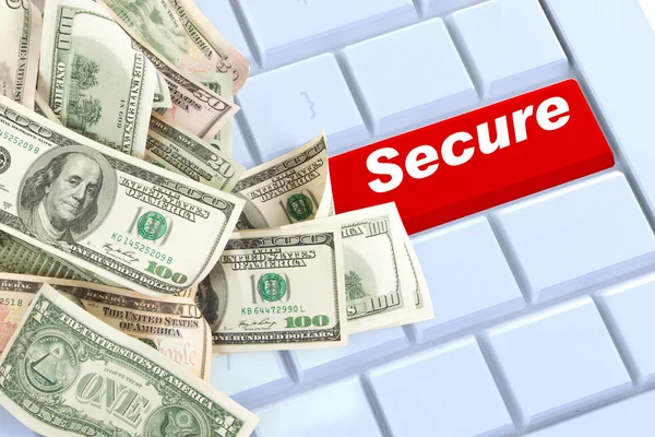 Secure Online Purchases — Stock Photo, Image