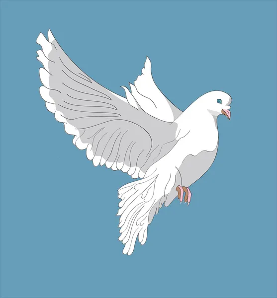 Fluing 鸽 — 图库矢量图片