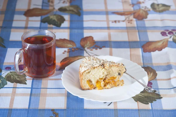 Aprikosenkuchen auf Teller — Stockfoto