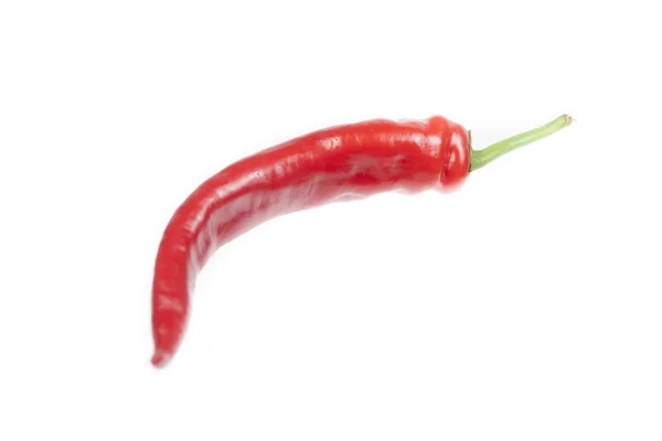 Peperoncino rosso piccante — Foto Stock