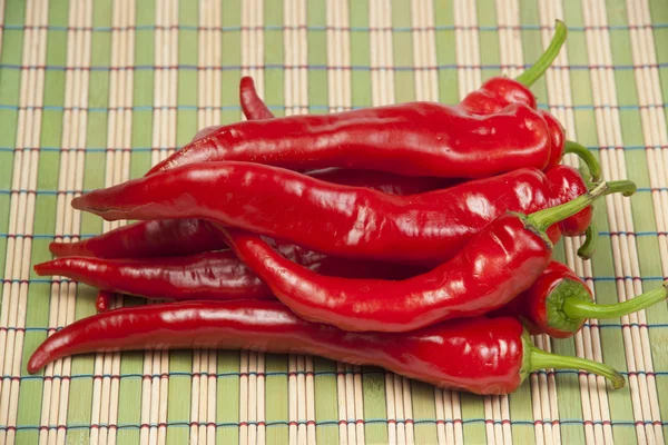 Rote Chilischote — Stockfoto