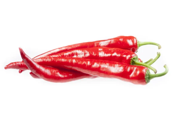 Rote Chilischote — Stockfoto