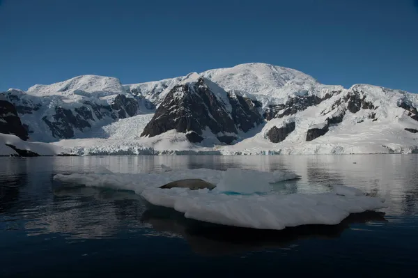 Vue sur la montagne vue béatifique coucher de soleil en Antarctique — Photo