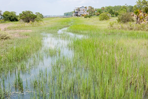 Våtmarker i south carolina — Stockfoto