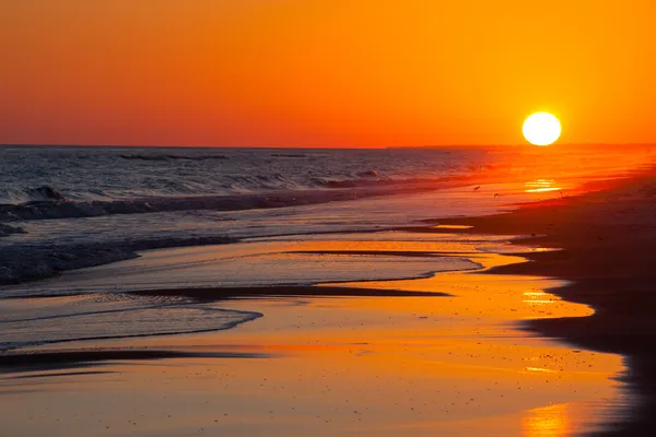 Солнце садится на пляже — стоковое фото